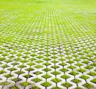 10 Grass Pavers for Driveway – All You Need to Know