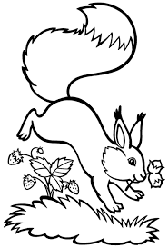 They are native to all continents except for australasia. Squirrel Coloring Pages 100 Images Free Printable