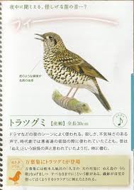 Image result for トラツグミ