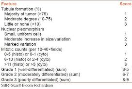 Image result for Breast Cancer Staging