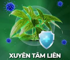 Tuy nhiên, một số phần mở rộng nhất định của x window system không có khả năng hoạt. Phytocine Tinh Cháº¿ Tá»« Cao Xuyen Tam Lien Co Ä'áº·c