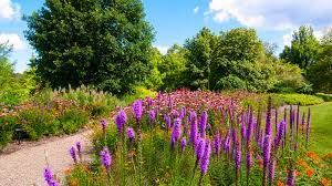 Check spelling or type a new query. 6 Native Plants To Use In Ohio Landscapes