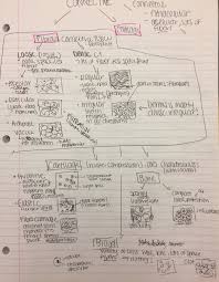 The Following Flow Chart Depicts The Different Types Of Connective Tissue And How They Are Ch Loose Connective Tissue Human Anatomy And Physiology Tissue Types