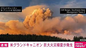 Yahoo!ニュース - News update