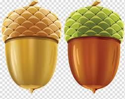 Acorn Transparent Background Png Clipart Hiclipart