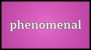 Phenomenal Meaning Youtube