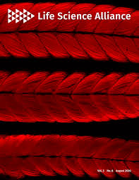 Latest on aik midfielder sebastian larsson including news, stats, videos, highlights and more on espn. Ebv Renders B Cells Susceptible To Hiv 1 In Humanized Mice Life Science Alliance