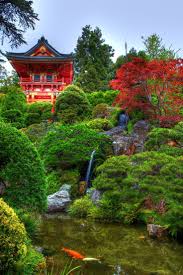 Kissing Koi S Japanese Tea Garden By Alexander Lee On 500px San Francisco Japanese Tea Garden San Francisco Japanese Garden Tea Garden Beautiful Gardens