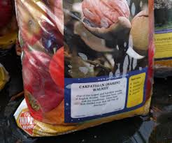 Where Should You Buy A Fruit Tree Greg Alder S Yard Posts Southern California Food Gardening