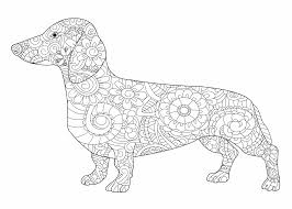 Maybe you would like to learn more about one of these? Kleurplaat Hond 80 Gratis Simpele En Moeilijke Honden Kleurplaten