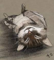 Draw two black dots for the eyes and an upside down u for the nose. Upside Down Kitty Album On Imgur