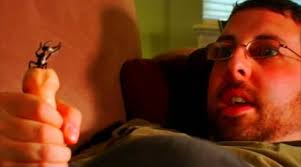 Apocalypse Later Film Reviews