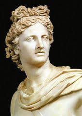 Anne Kovach (apk6154)