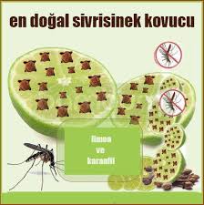 Sivrisineklerinden Dogal Korunma Yollari Dogal Saglikli Yasam Tarzi Limon