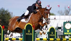 Maybe you would like to learn more about one of these? Hest No Norges Storste Hesteportal