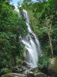 Este foi o primeiro parque nacional do brasil, criado em junho de 1937. Icmbio Parque Nacional De Itatiaia Guia Do Visitante