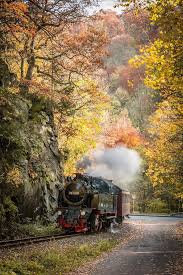 Steam Train Ride In The Fall Steam Train Photo Train Rides Train Pictures