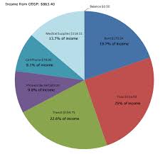 Accessibility Pie Chart Showing Odsp Income Expenditures
