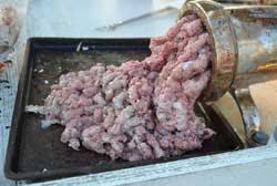 Chumming (american english from powhatan) is the practice of luring various animals, usually fish such as sharks, by throwing chum into the water. Make Fish Chum America Go Fishing