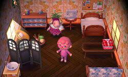 New horizons guide explains everything you need to know about stella including personality, birthday and apparel. Stella Animal Crossing Wiki Fandom