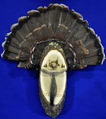 This enticer employs feathers mounted to a stake that raises and lowers a convincing tom fan with the tug of a string. Springbrook Laser Engraving Hunting Turkeys