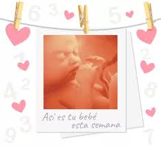 38 Semanas De Embarazo Tu Bebe Podria Nacer Ya