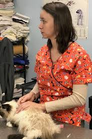 Valley veterinary emergency & referral center, winchester, va. Plaza Pet Clinic 1855 Senseny Rd 7 Winchester Va 22602 Usa