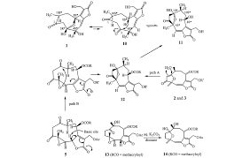 Image result for Vernonia potamophila