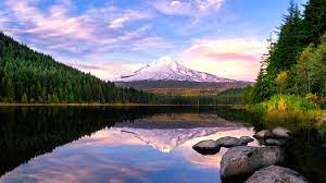 Maybe you would like to learn more about one of these? 6 Yoga Retreats In Oregon Bookyogaretreats