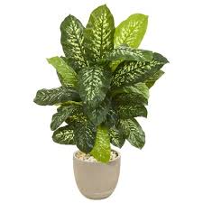 Bayou Breeze Artificial Dieffenbachia Plant In Planter Artificial Plants Plants Fake Plants Decor
