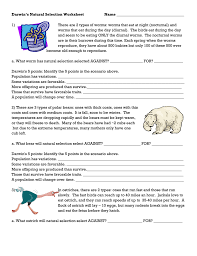Worksheets are work the theory of natural selection, natural selection work answers, darwins. Darwin S Natural Selection Worksheet