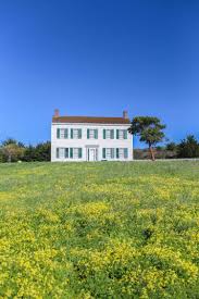 Half moon bay yellow flowers location. Instagrammable Places In Half Moon Bay California