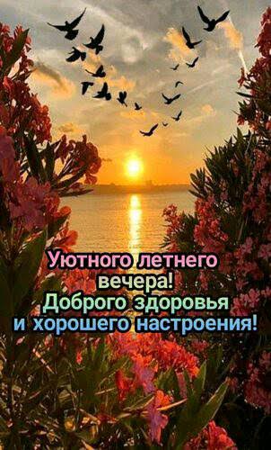 Добрый, летний, красивый вечер