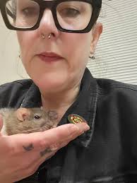 Reunited siblings now in care together