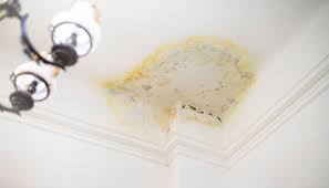 Signs of Hidden Water Damage in Your Home