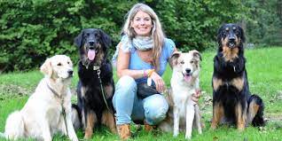 In der welpenschule lernen welpen sich untereinander kennen und spielen gemeinsam. Neues Kursangebot Mehrhundehalter Kurs Ab Dem 16 07 19 Hundeschule Und Therapiehundezentrum Jacobs