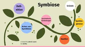 Check spelling or type a new query. Symbiose By Paula Paula