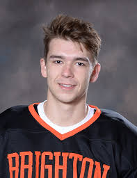 2018-19 All-Livingston County hockey team