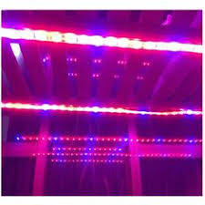 We did not find results for: 7 Led Grow Lights Ideas Led Grow Lights Grow Lights Led