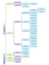 hematology