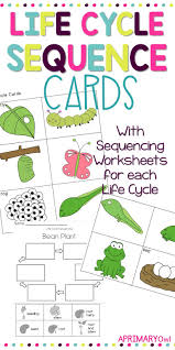 Life Cycle Sequencing Cards Life Cycles Sequencing Cards