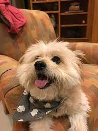 Maybe you would like to learn more about one of these? The Pet Fund Home Facebook