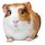 Black Fancy Bear Hamster