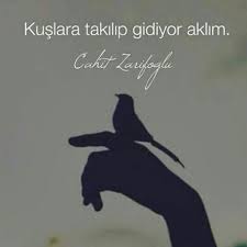 Güzel sözler sitemizde bu sayfamızda türk şair ve yazar olan abdurrahman cahit zarifoğlu' nu konuk ettik. Kuslara Takilip Gidiyor Aklim Cahit Zarifoglu Sozler Anlamlisozler Guzelsozler Manalisozler Ozlusozler Alinti Alintilar Alintidir Alintisozler Devami Icin Tikla Guzel Sozler Sozler In