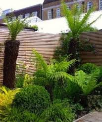 Small Garden Design Sw London Garden Club Small Tropical Gardens Urban Garden Design Urban Garden