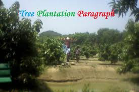 We should not depend on nature fore natural plantations. Tree Plantation Paragraph Essay Or Composition Essay On Tree Plantation