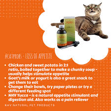 Pin On Natural Pet Products