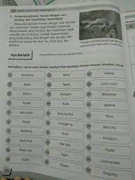 Contoh Jenis Hewan Ovipar Vivipar Dan Ovovivipar Brainly Co Id