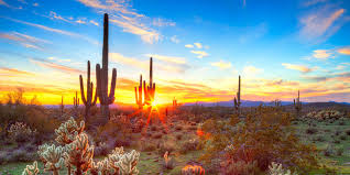 Discover more music, concerts, videos, and pictures with the largest catalogue online at last.fm. Slider Sunset Phoenix Org