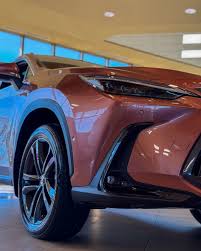 Image result for Autumn Shimmer 2017 NX